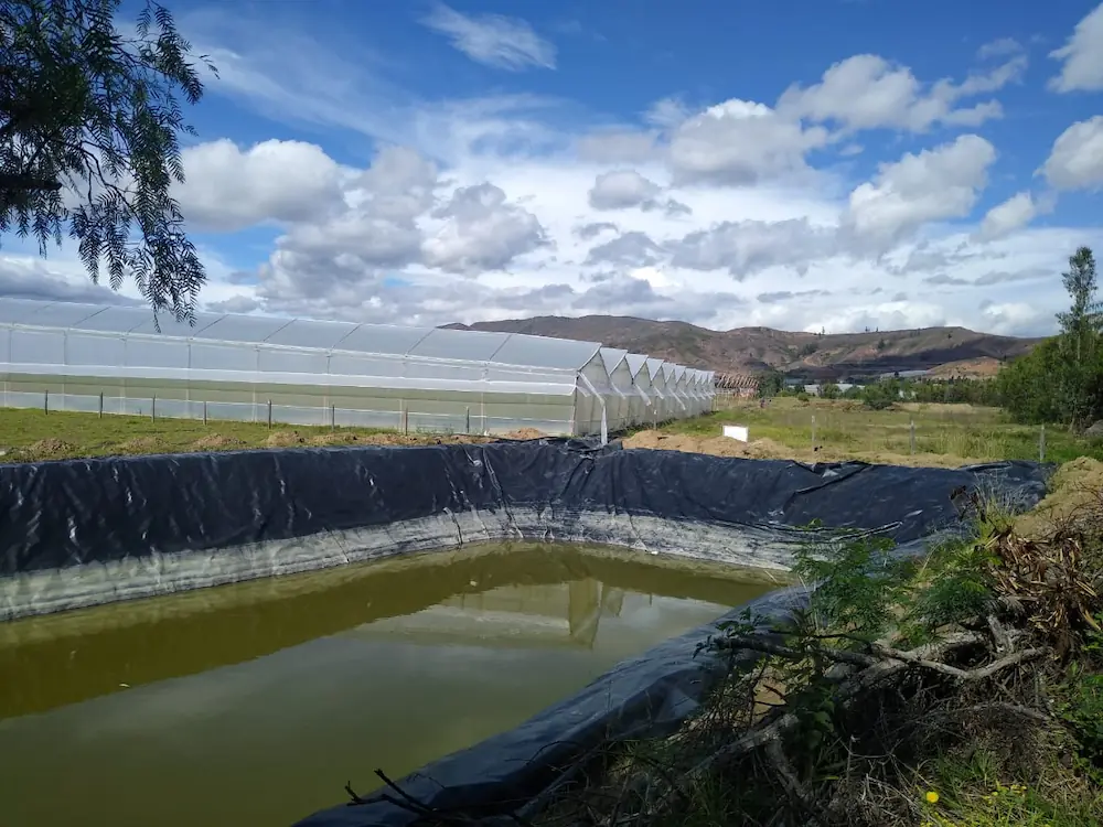 Beneficios de las geomembranas de Agropinos