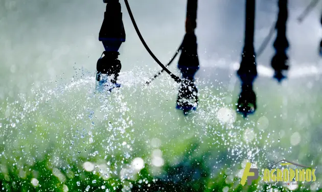 Optimización del uso del agua en sistemas de riego agrícola Sistema de riego