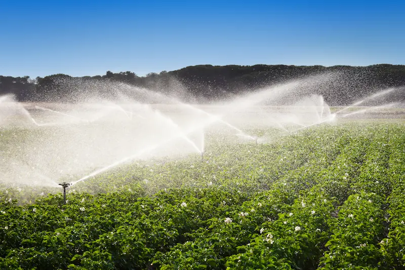 Tecnologías de riego que ayudan a ahorrar agua