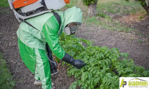 EPP para fumigación de cultivos Hombre fumigando cultivos