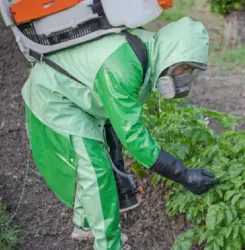 Hombre fumigando cultivos