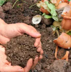 Mejore la calidad de sus cultivos con fertilizantes orgánicos 