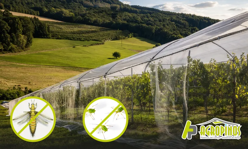 Prevención de plagas en cultivos agrícolas