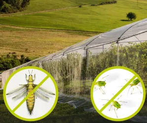 Prevención de plagas en cultivos agrícolas