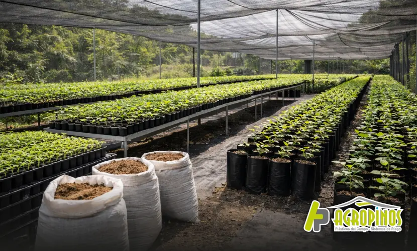 Vivero agrícola
