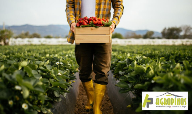 Agricultor Cómo ser un buen agricultor