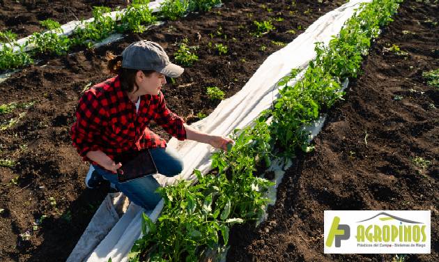 cultivo sano y productivo cultivo sano y productivo