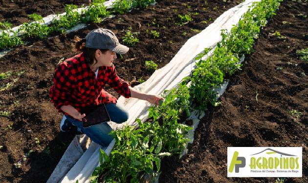 cultivo sano y productivo