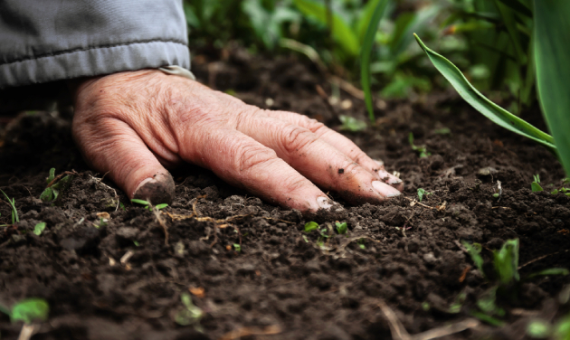 Importancia del suelo agrícola Tipos de suelos agrícolas