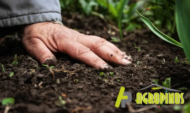 Tipos de suelos agrícolas