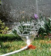 Aprenda a no desperdiciar el agua de su invernadero