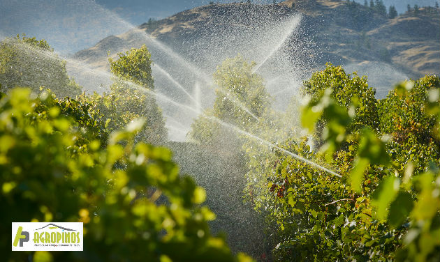 La calidad del agua utilizada para los cultivos debe cumplir con ciertas características de calidad para garantizar cosechas saludables.