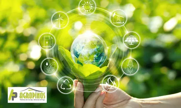 Existen aplicaciones para Smartphone en las que se encuentra información meteorológica especializada para los procesos agrícolas.