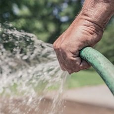Mangueras apropiadas para su invernadero