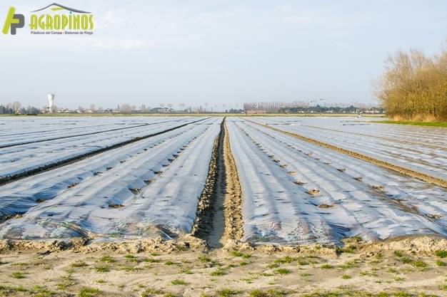 Las geomembranas en los invernaderos