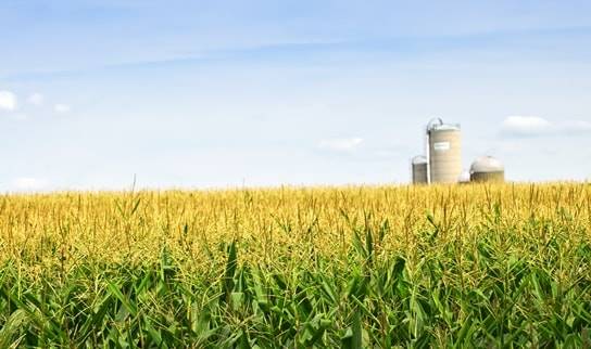 Conozca las soluciones integrales para el sector agrícola con Agropinos