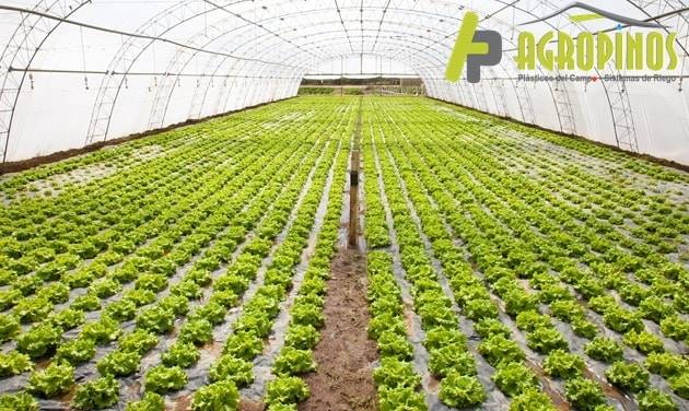Conozca los beneficios de las geomembranas y las polisombras con Agropinos