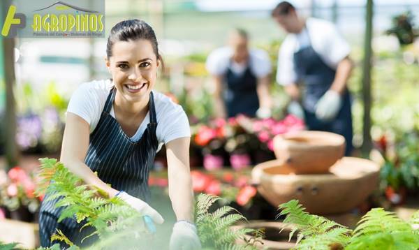 Los mejores cultivos en casa se logran con Agropinos