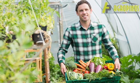 Los mejores cultivos en casa se logran con Agropinos