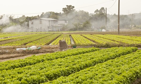 Elementos ideales para tu cultivo 