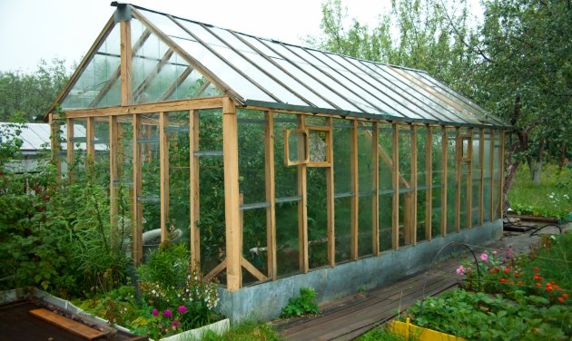 Beneficie su vida y su salud con un invernadero en su propiedad | Agropinos
