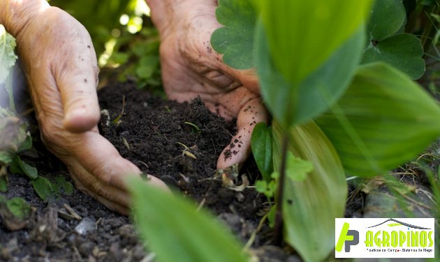 Mejore la calidad de sus suelos con Agropinos