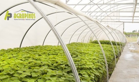 Los mejores plásticos para la producción los encuentras en Agropinos