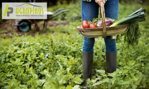 Conozca las razones para invertir en la agricultura con Agropinos