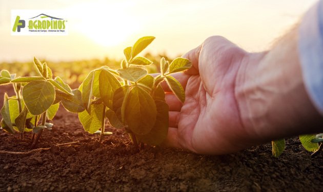 Grandes beneficios de la agricultura agrícola 