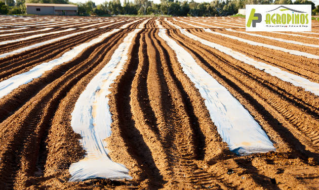 Use estas geomembranas y mejore la calidad de sus cultivos