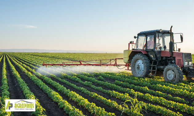 Estudios buscan reducir el uso de herbicidas y fungicidas en los productos para el agro.