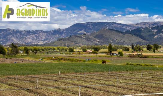 cultivo en Boyacá trabajo de cultivo en Boyacá