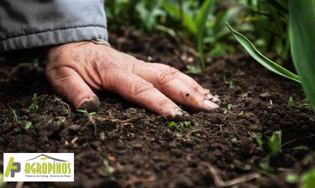 prioridad Consejo Enfadarse Cómo conseguimos un suelo fértil? | Agropinos