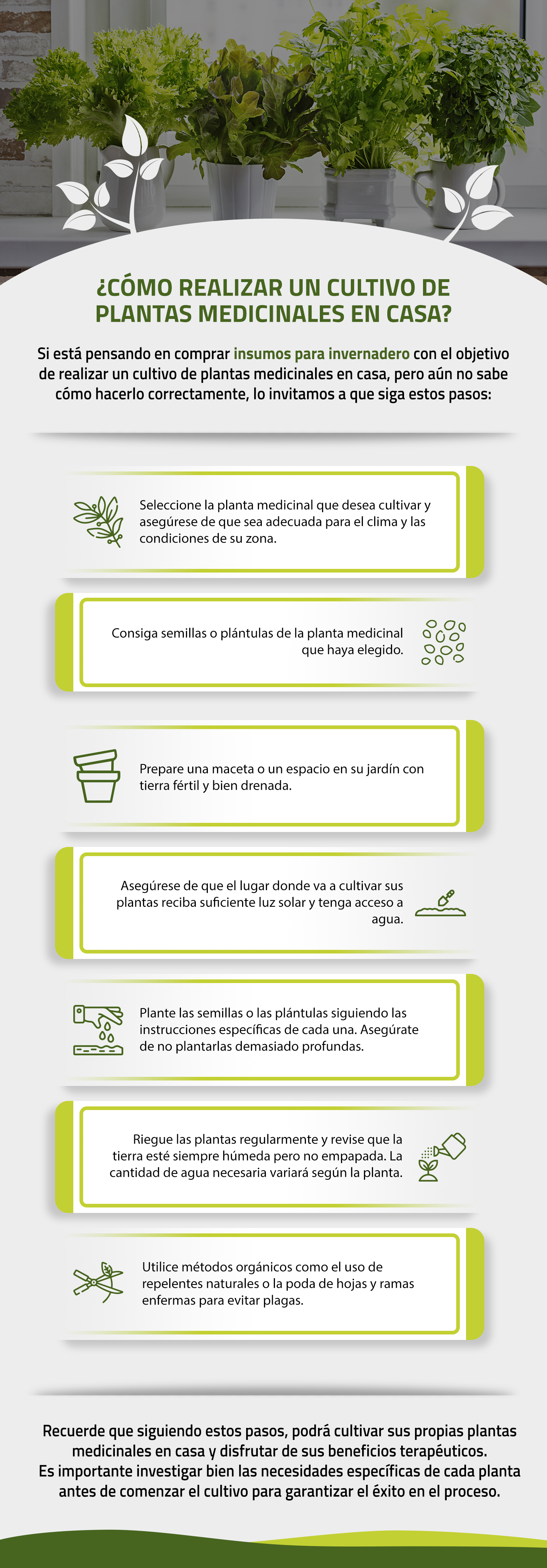 cultivo de plantas medicinales