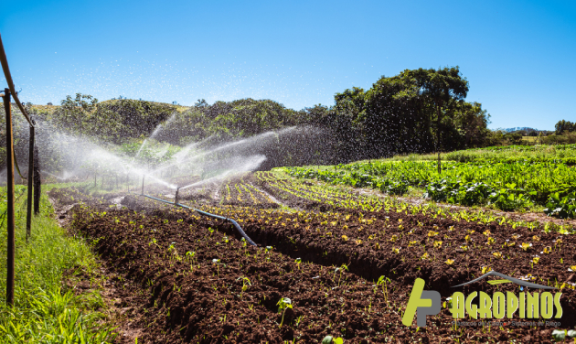 Recomendaciones para prevenir los problemas en sistemas de riego La presión del agua puede ser afectada por un problema dentro del sistema o externo.