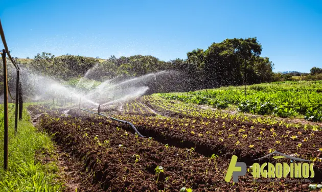 Aspersor de riego agrícola y riego para jardín