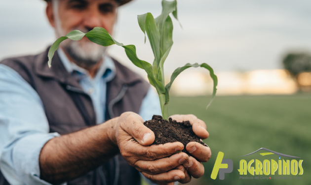 Reforma agraria 2022 Infórmese sobre los diferentes programas gubernamentales para que potencie su actividad en el campo.