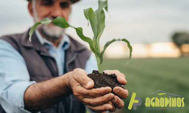 Infórmese sobre los diferentes programas gubernamentales para que potencie su actividad en el campo.