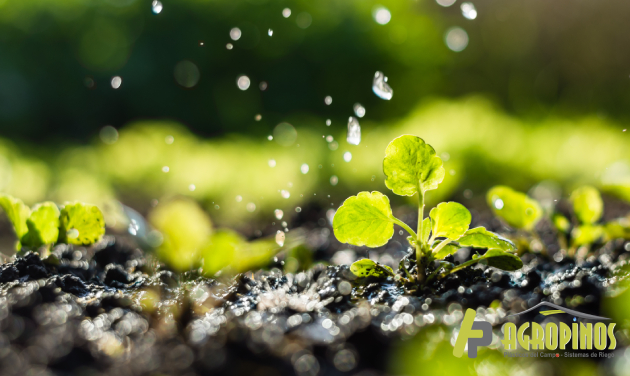 Proteja sus cultivos con los productos de Agropinos