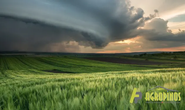 Agropinos le enseña como proteger sus cultivos de los cambios climáticos