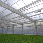 plasticos agricolas