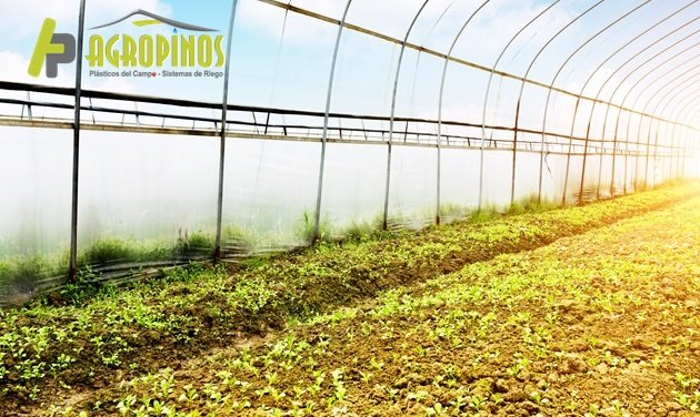 Los mejores productos para los cambios de clima