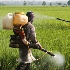 Productos para el agro 