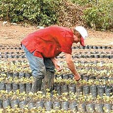 Gobierno prende alertas por fenómeno del niño