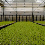 Elija sistemas de riego de calidad en Agropinos