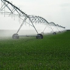 Encuentre productos de alta calidad para el agro