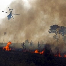 Tips para proteger a sus cultivos de incendios